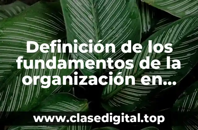 Definición de los fundamentos de la organización en administración