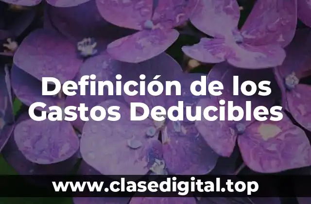 Definición de los Gastos Deducibles