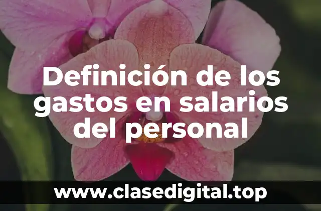 Definición de los gastos en salarios del personal