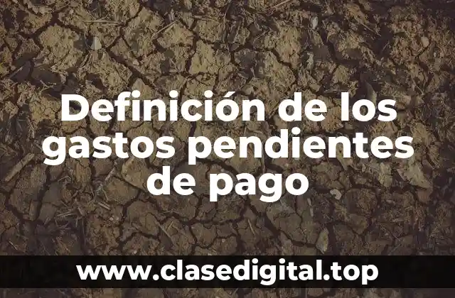 Definición de los gastos pendientes de pago