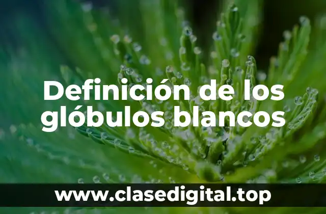 Definición de los glóbulos blancos