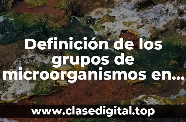 Definición de los grupos de microorganismos en los alimentos