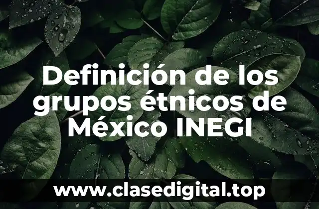 Definición de los grupos étnicos de México INEGI