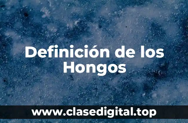 Definición de los Hongos