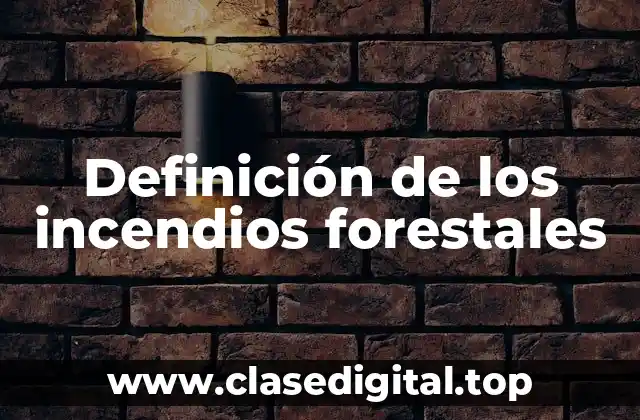 Definición de los incendios forestales