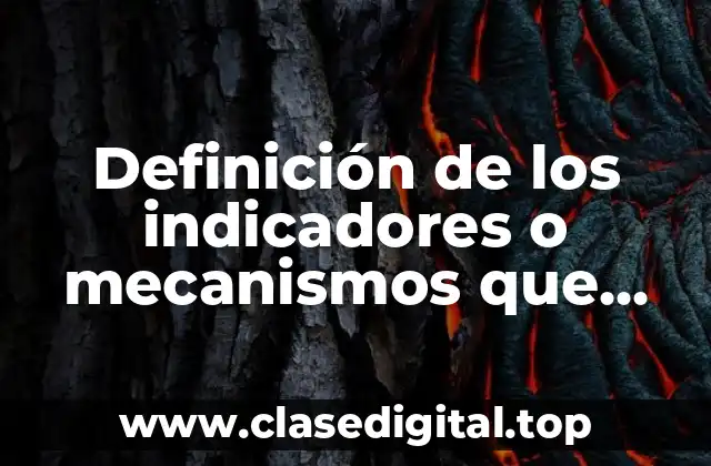 Definición de los indicadores o mecanismos que corresponda