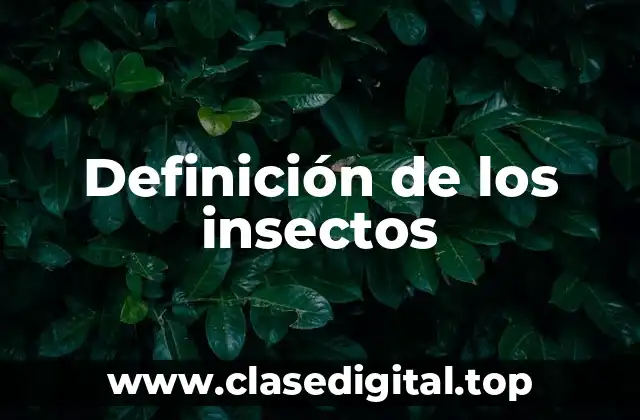 Definición de los insectos