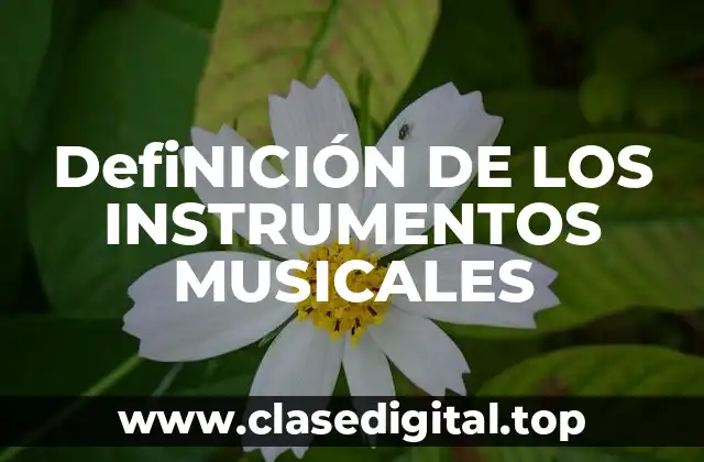 DefiNICIÓN DE LOS INSTRUMENTOS MUSICALES