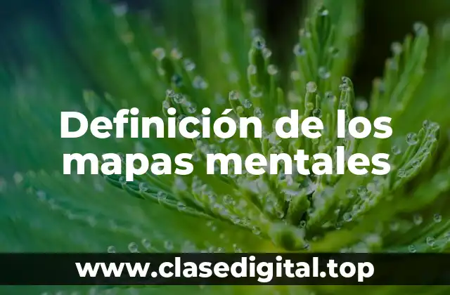 Definición de los mapas mentales