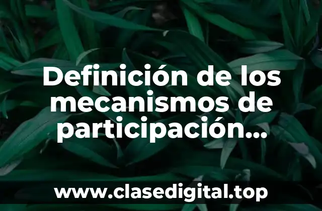 Definición de los mecanismos de participación ciudadana