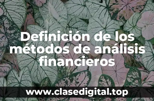 Definición de los métodos de análisis financieros