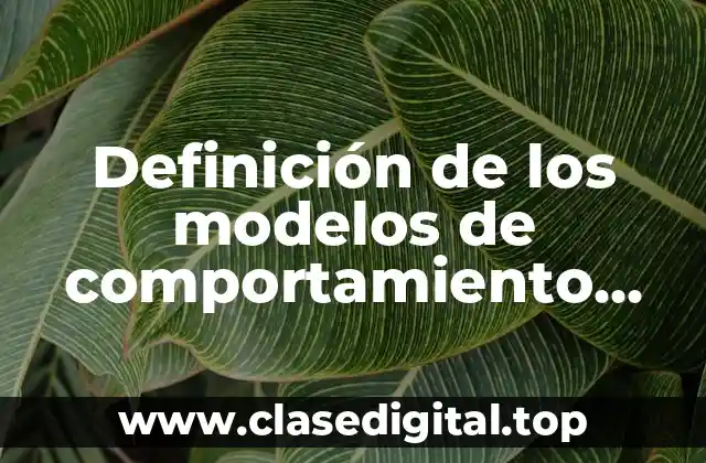 Definición de los modelos de comportamiento organizacional