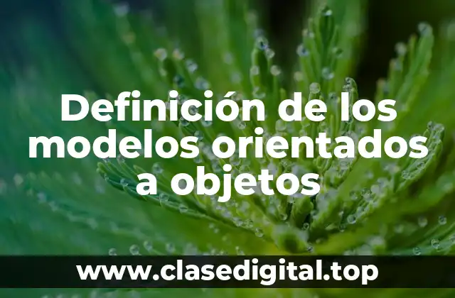 Definición de los modelos orientados a objetos