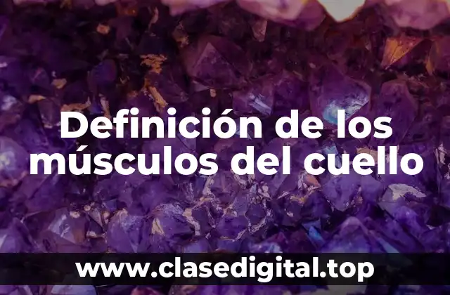 Definición de los músculos del cuello
