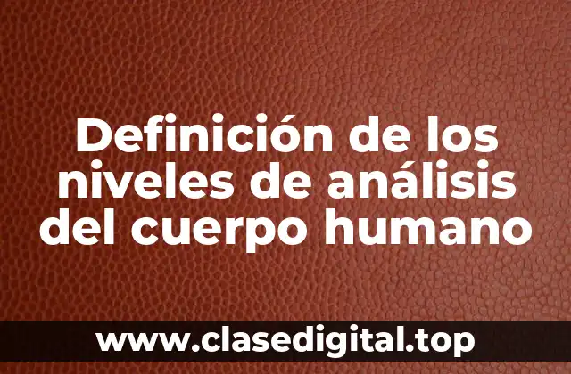 Definición de los niveles de análisis del cuerpo humano