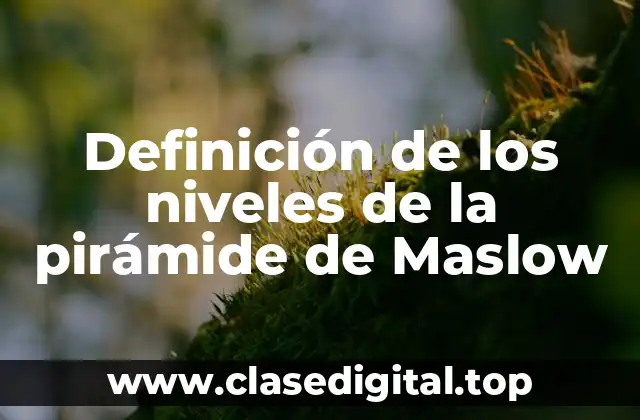 Definición de los niveles de la pirámide de Maslow