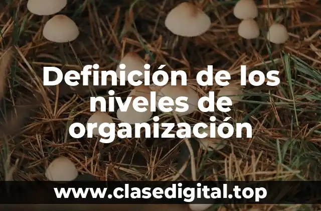 Definición técnica de los niveles de organización