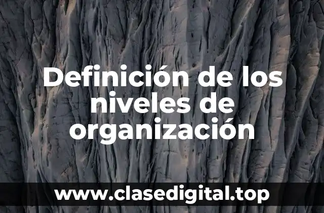 Ejemplos de los niveles de organización