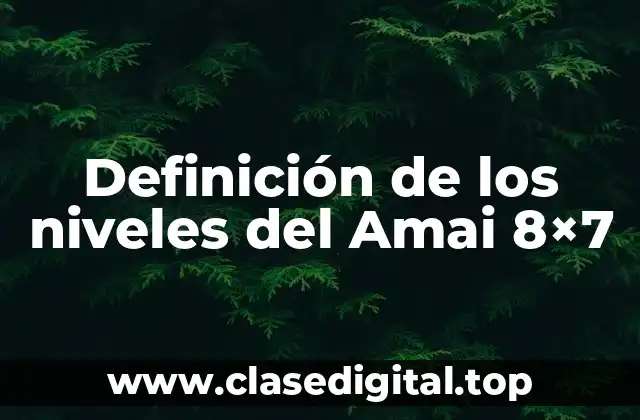 Definición de los niveles del Amai 8×7