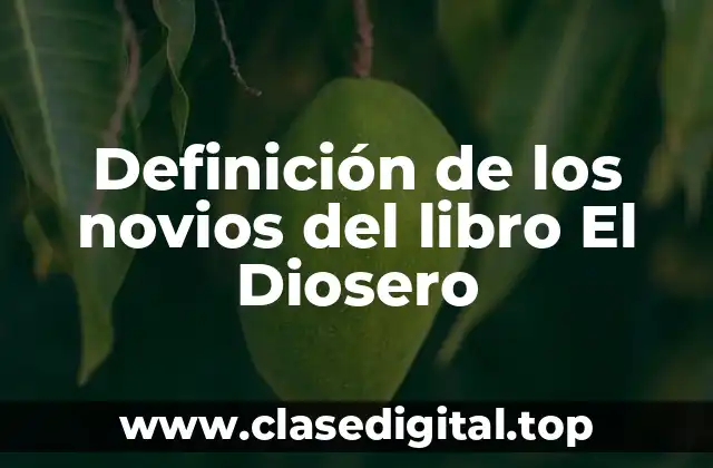Definición de los novios del libro El Diosero