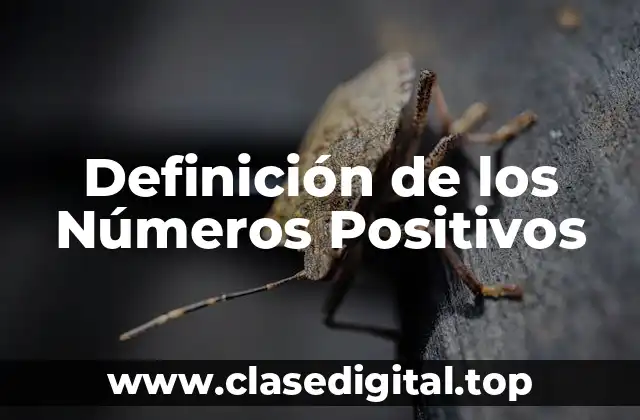Definición de los Números Positivos