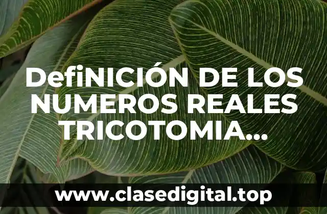 DefiNICIÓN DE LOS NUMEROS REALES TRICOTOMIA EJEMPLOS