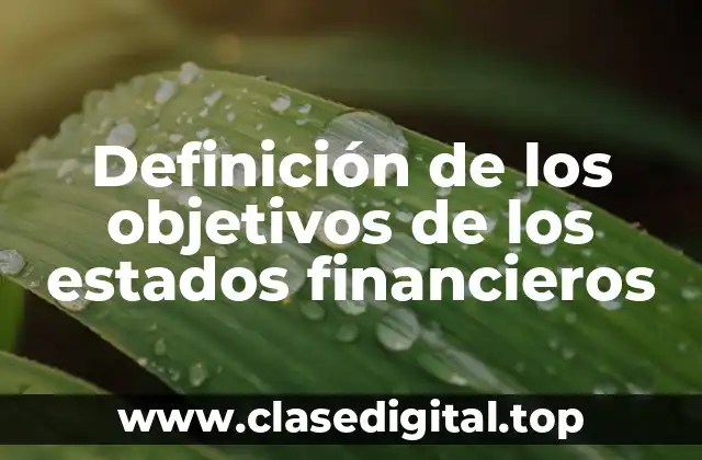 Definición de los objetivos de los estados financieros