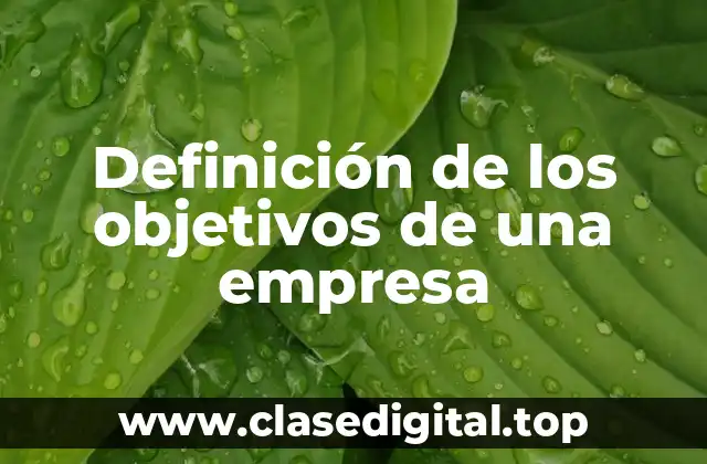 Definición de los objetivos de una empresa