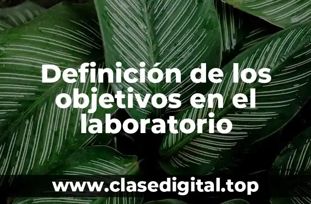Definición de los objetivos en el laboratorio