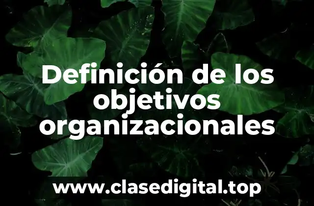 Definición de los objetivos organizacionales