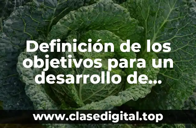 Definición de los objetivos para un desarrollo de proyectos