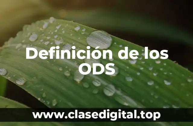 Definición de los ODS
