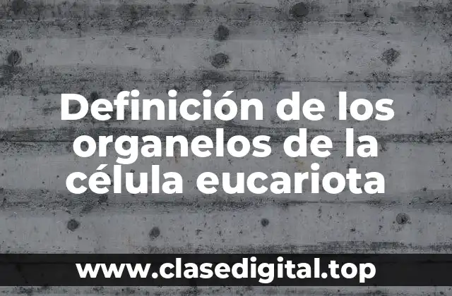Definición de los organelos de la célula eucariota