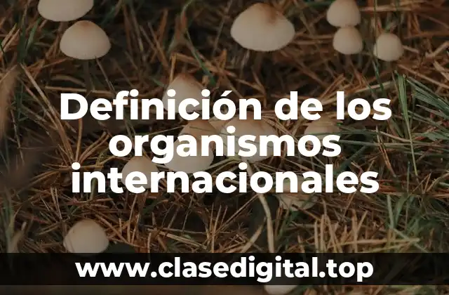 Definición de los organismos internacionales