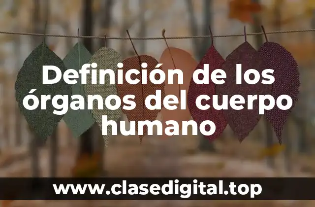 Definición de los órganos del cuerpo humano