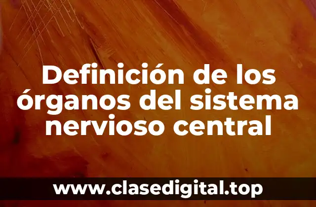 Definición de los órganos del sistema nervioso central