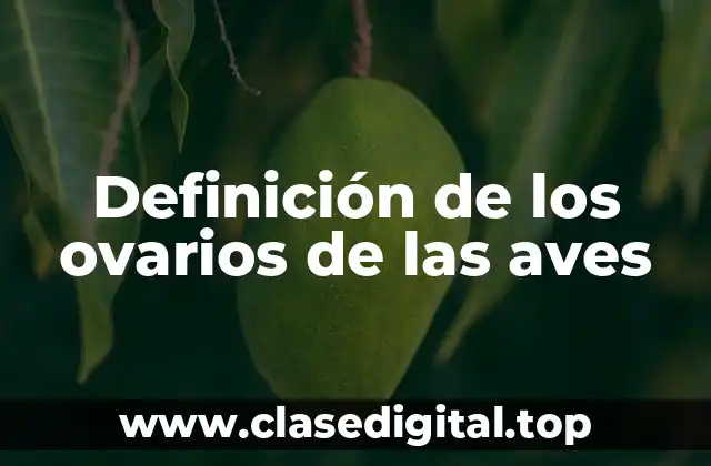 Definición de los ovarios de las aves
