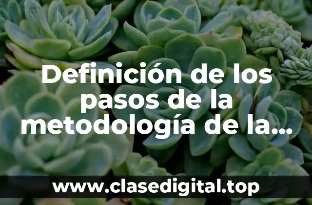 Definición de los pasos de la metodología de la investigación