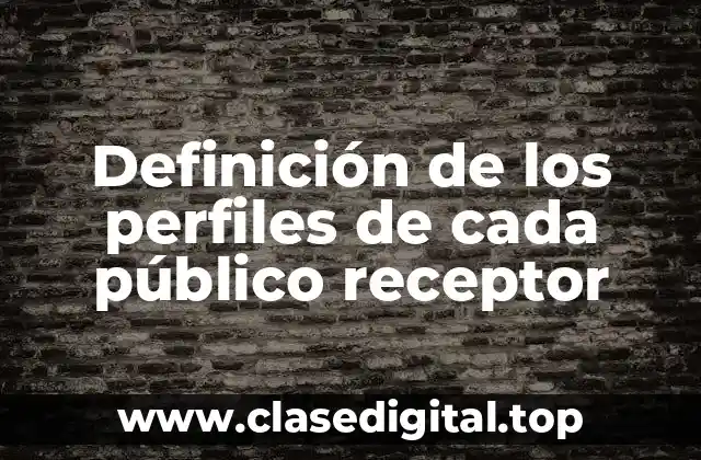 Definición de los perfiles de cada público receptor