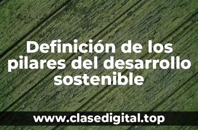 Definición de los pilares del desarrollo sostenible