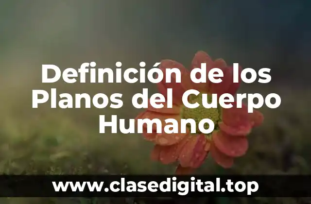 Definición de los Planos del Cuerpo Humano
