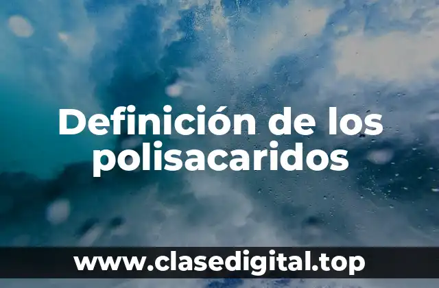 Definición de los polisacaridos