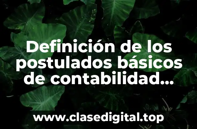 Ejemplos de los postulados básicos de contabilidad gubernamental