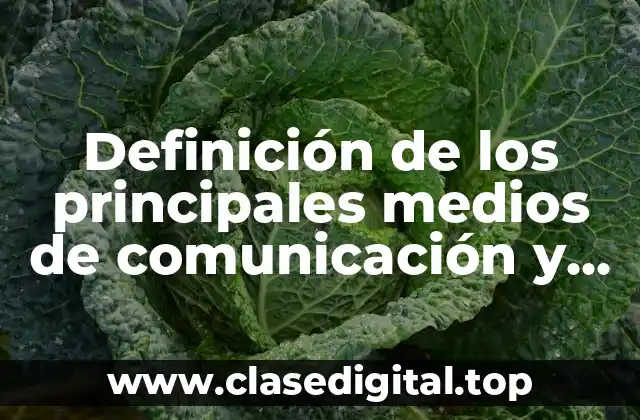 Ejemplos de los principales medios de comunicación
