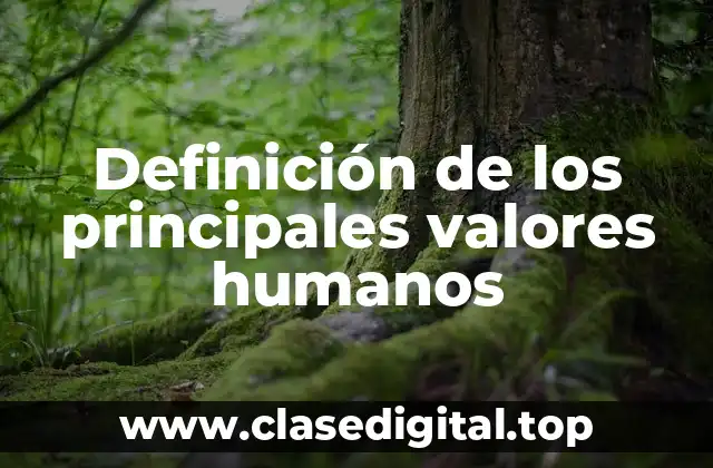 Definición de los principales valores humanos