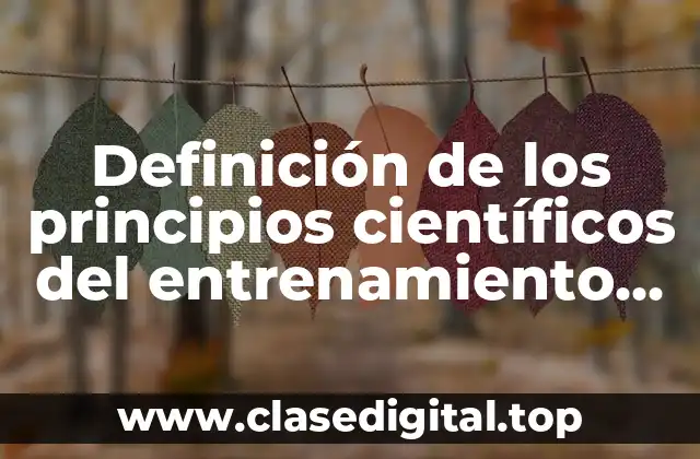 Definición de los principios científicos del entrenamiento deportivo