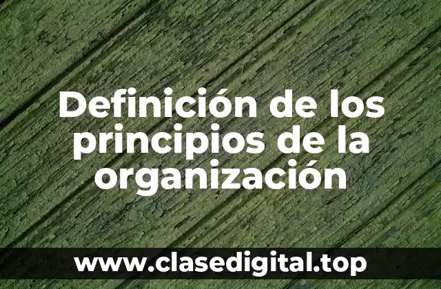 Definición de los principios de la organización