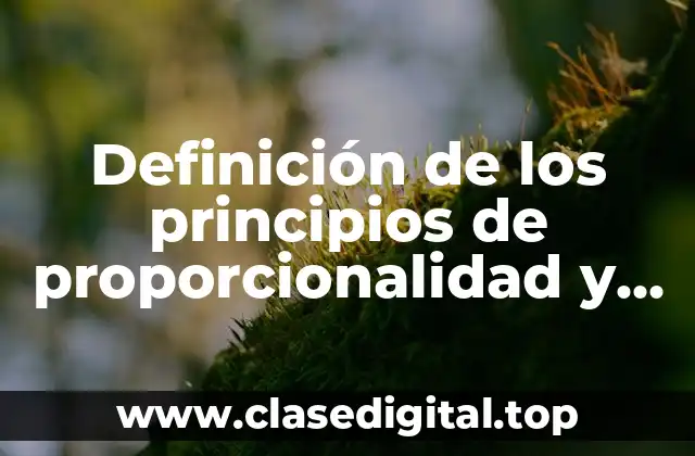 Definición de los principios de proporcionalidad y equidad