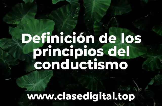 Definición de los principios del conductismo