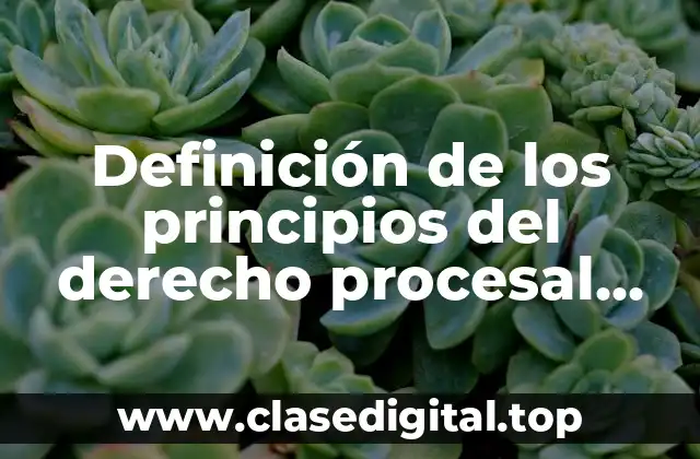 Definición de los principios del derecho procesal laboral